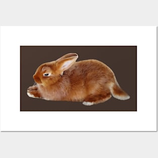 Brown Rabbit Posters and Art